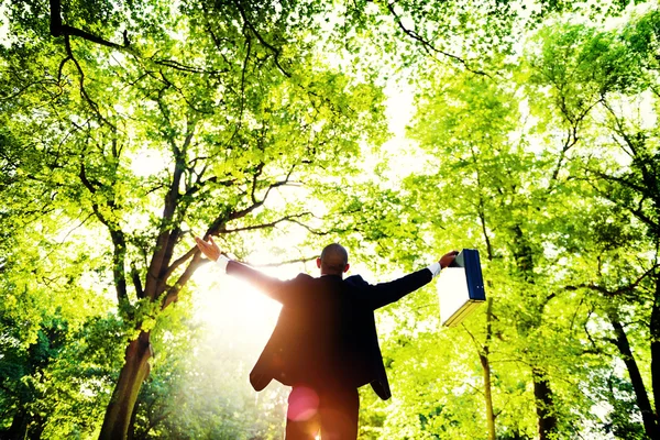 Business Man in Forest — Stock Photo, Image