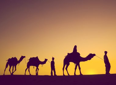 Erkek deve çölde at binme 