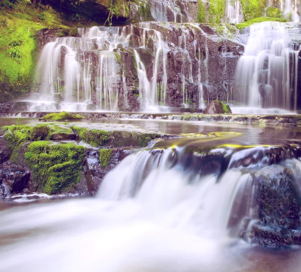 Panqueques en Nueva Zelanda — Foto de Stock