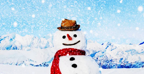 Christmas funny Snowman — Stock Photo, Image