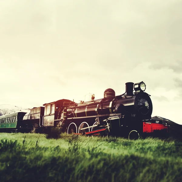 Tren de vapor en campo abierto —  Fotos de Stock