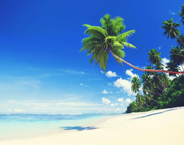 Summer Beach Seascape — Stock Photo, Image