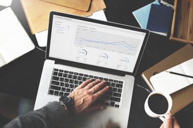 Mali rapor gelir istatistiksel muhasebe kavramı