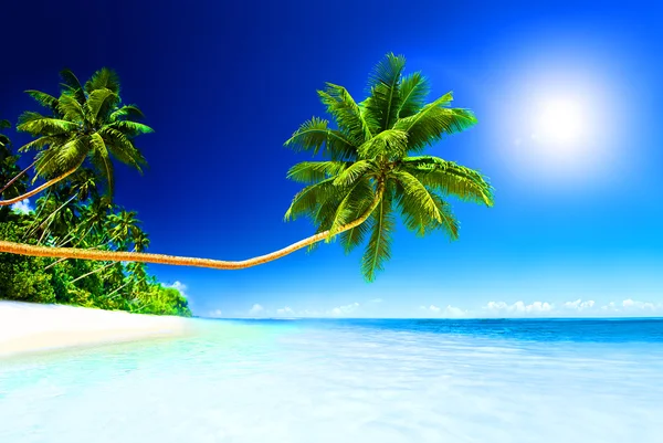 Zomer strand tropisch paradijs Concept — Stockfoto