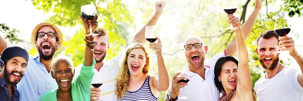 Amigos Celebración al aire libre — Foto de Stock