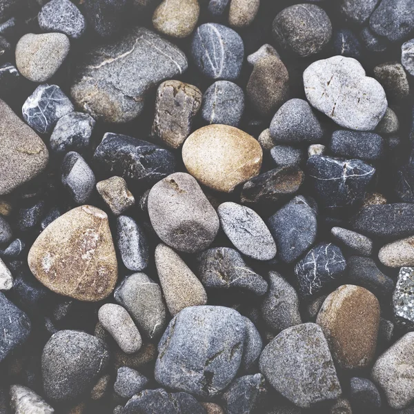 Multi gekleurde Pebbles achtergrond — Stockfoto