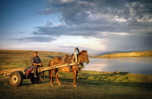Ember ül egy lovas kocsi — Stock Fotó