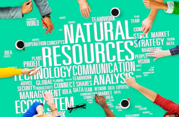 Business People Pointing on Natural Resources — Stock Photo, Image