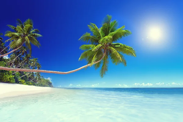 Paradise Beach koncept — Stockfoto