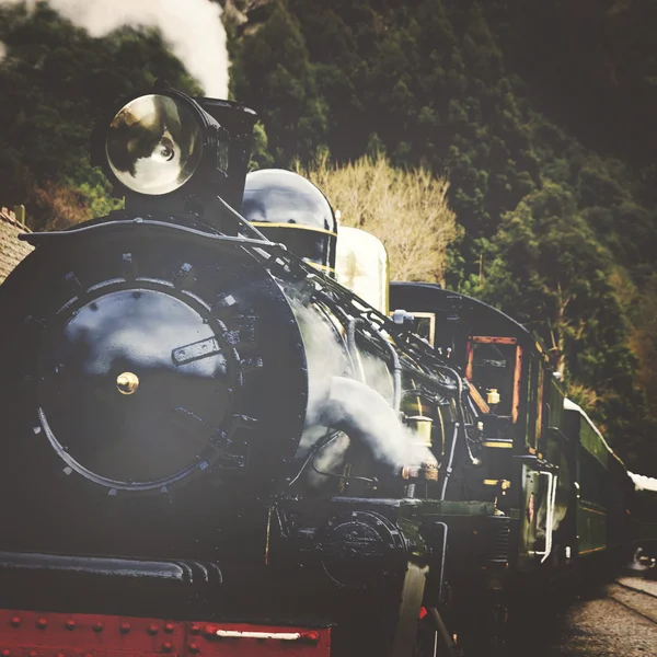 Train à vapeur dans une campagne ouverte — Photo