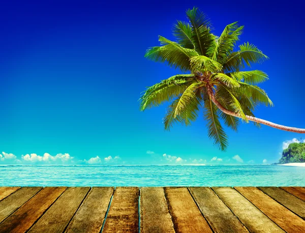 Tropical Paradise Beach koncept — Stockfoto