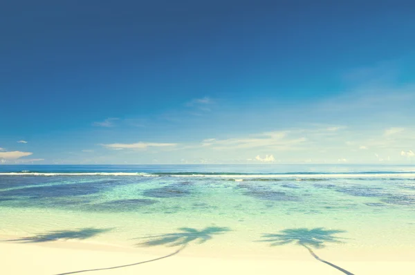 Concepto de Playa Paraíso —  Fotos de Stock