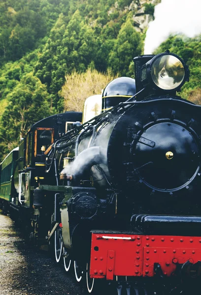 Train à vapeur dans une campagne ouverte — Photo