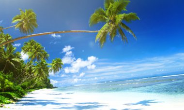 Tropikal plaj seyahat tatil tatil tatil doğa kavramı