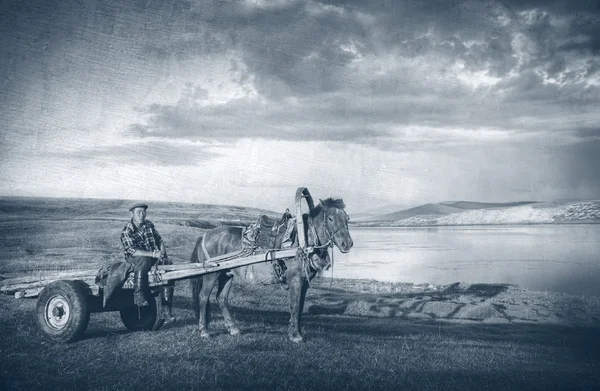 Homme assis sur un chariot à cheval — Photo