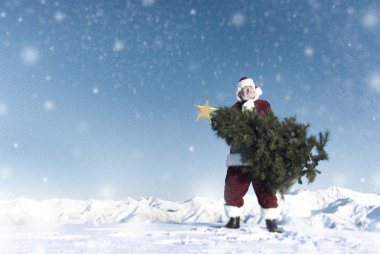 Noel Baba taşıyan yılbaşı ağacı