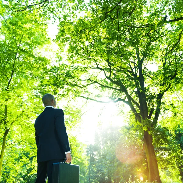 Empresário em pé na floresta verde — Fotografia de Stock
