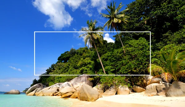 Verano Isla Tropical y palmeras — Foto de Stock