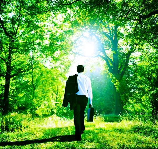 Businessman with suitcase at nature — ストック写真