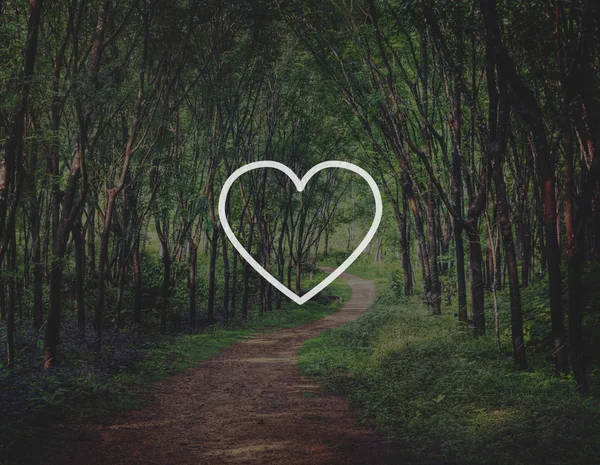 Heart Icon with   forest on  background