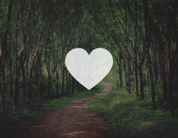 Ícone do coração com floresta no fundo — Fotografia de Stock