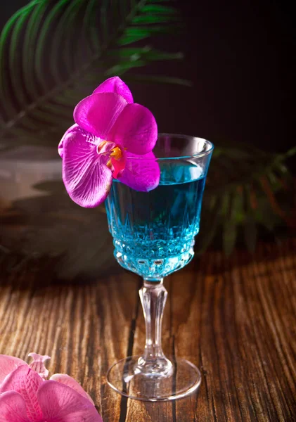 Sommar tropisk blå cocktail dekorerad lila orkidé blomma på trä bakgrund — Stockfoto