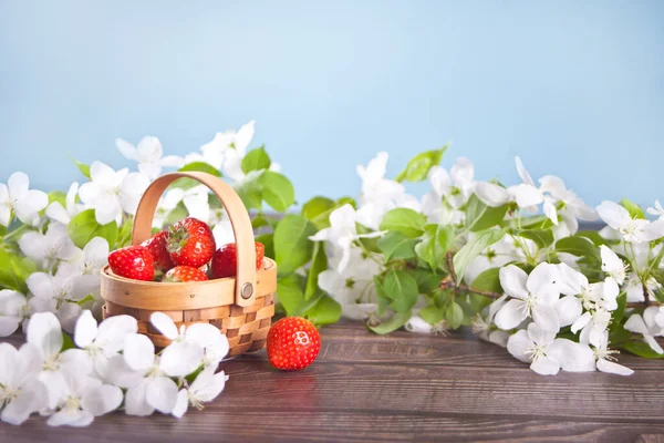 Frische Reife Erdbeeren Einem Winzigen Korb Kopierraum — Stockfoto