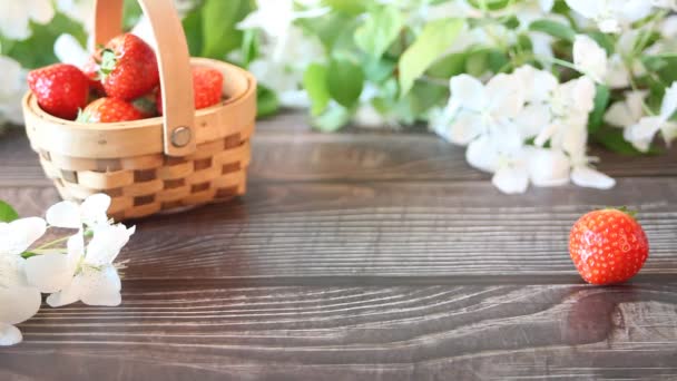 Woman hand put cup of tea. Nearby basket with strawberries and white apple blossom branch. Spring concept. — Stock Video