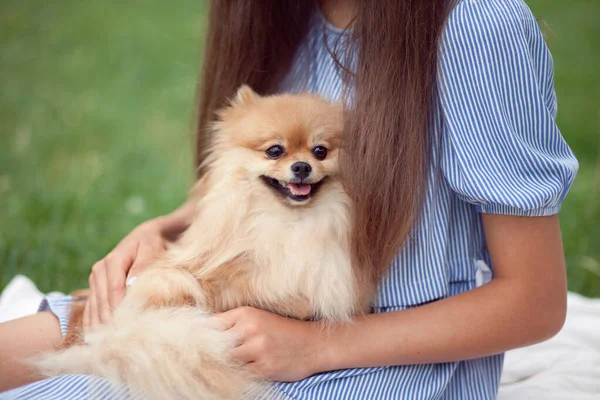 Adolescente menina abraçando pouco cão de estimação em um parque ao ar livre — Fotografia de Stock