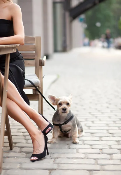 Schöne Frau sitzt in Outdoor-Café mit Haustier kleiner Hund — Stockfoto