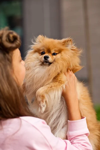 Menina adolescente com animal de estimação pequeno cão segurando em uma mão ao ar livre em um parque — Fotografia de Stock