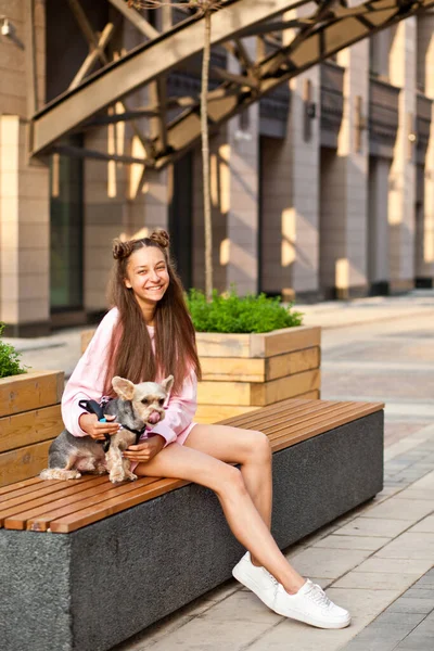 Teenager Mädchen mit Haustier Tier kleiner Hund sitzt auf einer Bank im Freien — Stockfoto