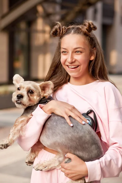 Teenie-Mädchen mit Haustier kleiner Hund hält in einer Hand im Freien in einem Park — Stockfoto