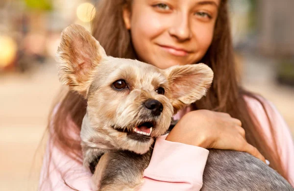 Teenie-Mädchen mit Haustier kleiner Hund hält in einer Hand im Freien in einem Park — Stockfoto