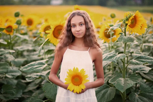 Teen girl in sunflowers field in a summer day — ストック写真