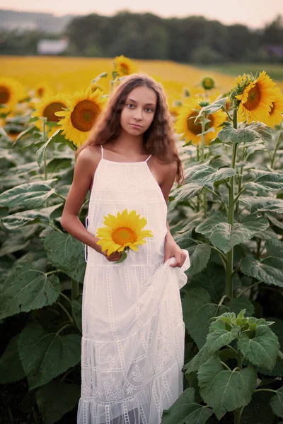 Teen girl in sunflowers field in a summer day — ストック写真