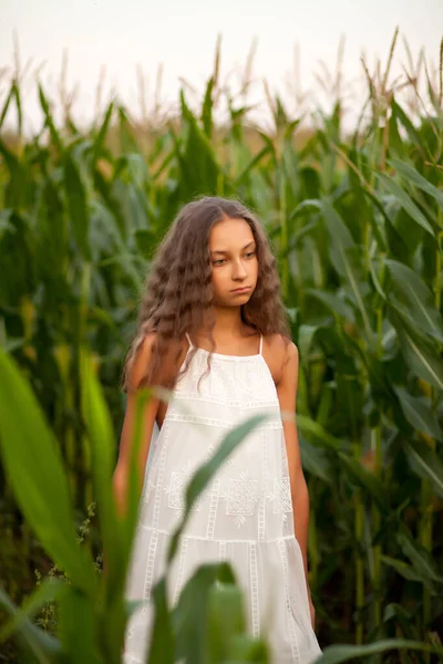 Menina adolescente no campo de milho em um dia de verão — Fotografia de Stock