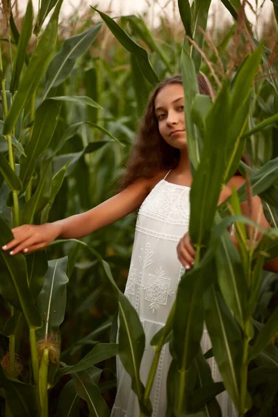 Menina adolescente no campo de milho em um dia de verão — Fotografia de Stock