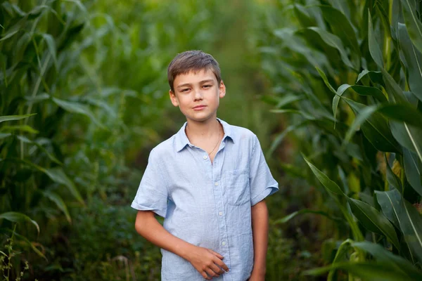 Ragazzo adolescente ragazzo nel campo di mais in un giorno d'estate — Foto Stock