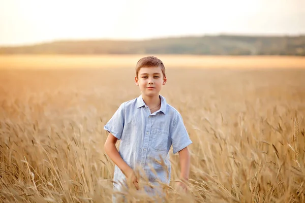 Teen boy kid in wheat field in a summer day — Zdjęcie stockowe
