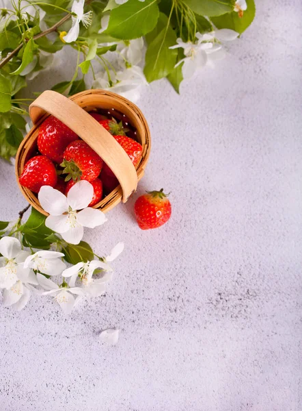 Verse rijpe aardbeien in een klein mandje. Kopieer ruimte voor uw tekst. — Stockfoto