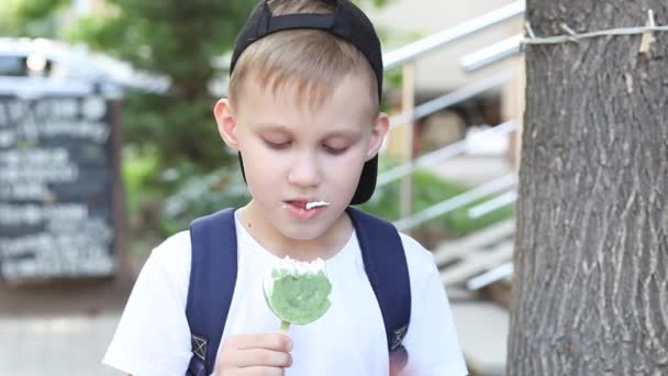 Милый мальчик ест мороженое на открытом воздухе в парке — стоковое видео