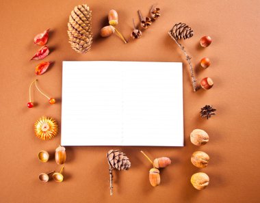 Net defter, kuru yapraklar, koniler, meşe palamutları, böğürtlenler, fındıklı sonbahar kompozisyon deseni.