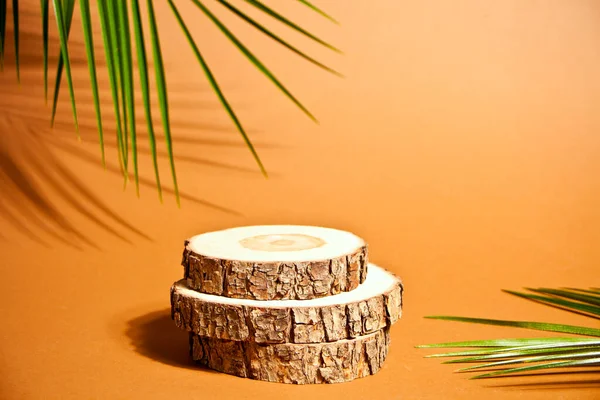 Palm leaf and saw cut from a tree on a brown background with empty copy space. Trendy hard shadow. Mockup. — Stock Photo, Image