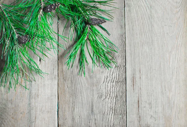 Pine branch on a wooden boards — Stock Photo, Image