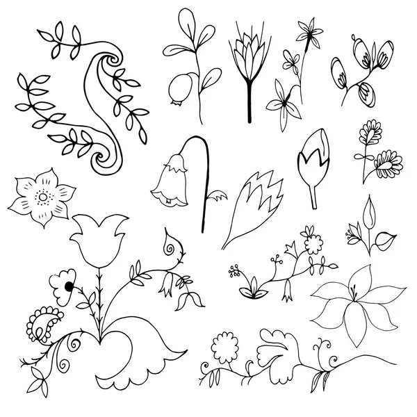 Fleurs et feuilles dessinées à la main ensemble de doodle — Image vectorielle