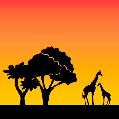 African arka plan üzerinde akşam savana