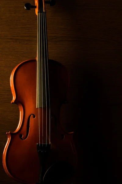 Conceito de violino antigo — Fotografia de Stock