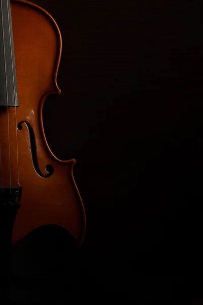 Conceito de violino antigo — Fotografia de Stock