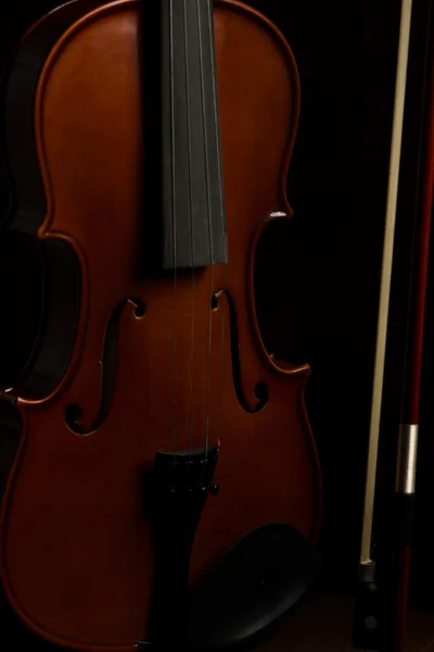 Conceito de violino antigo — Fotografia de Stock